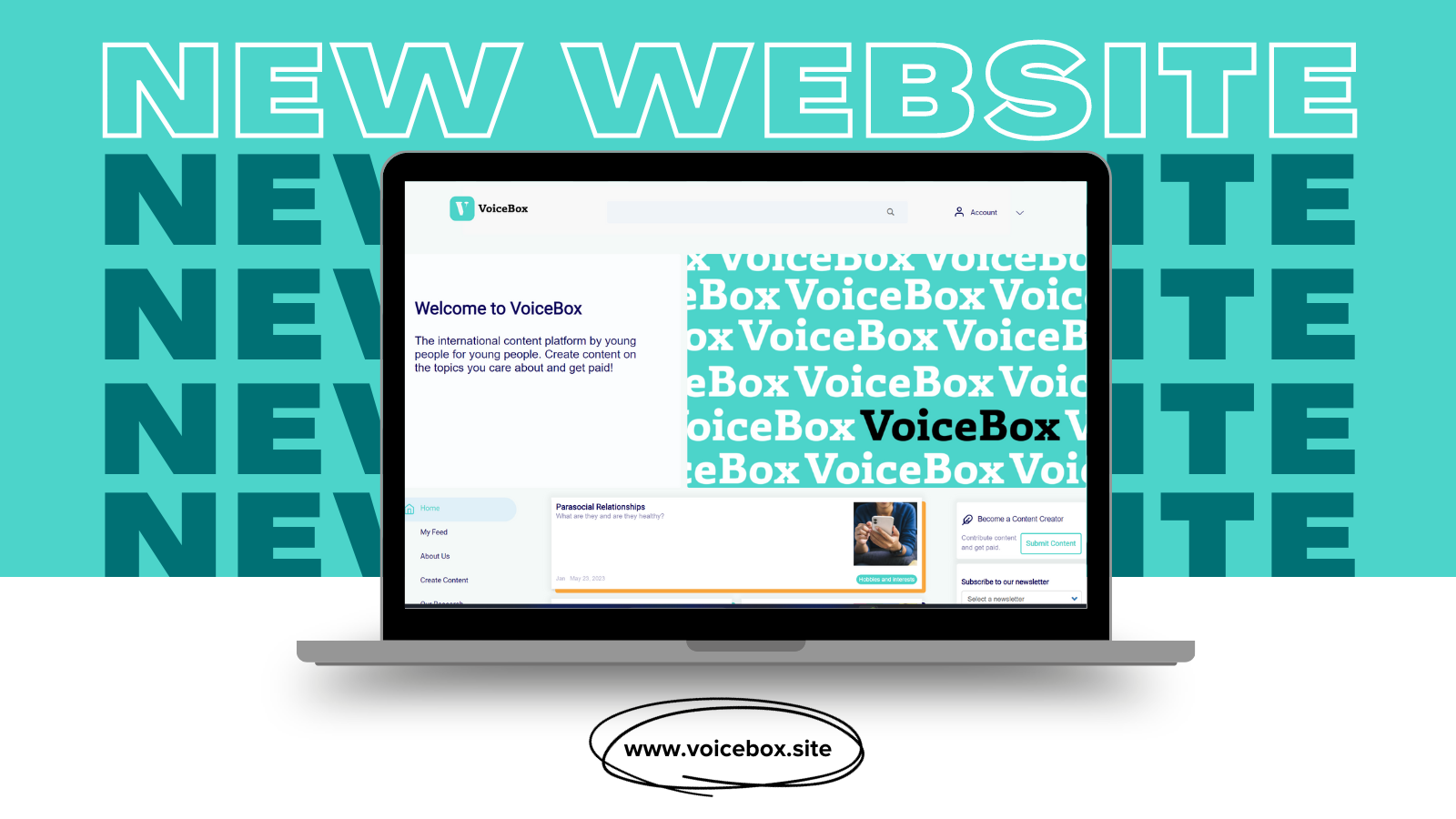 new VoiceBox website announcement header