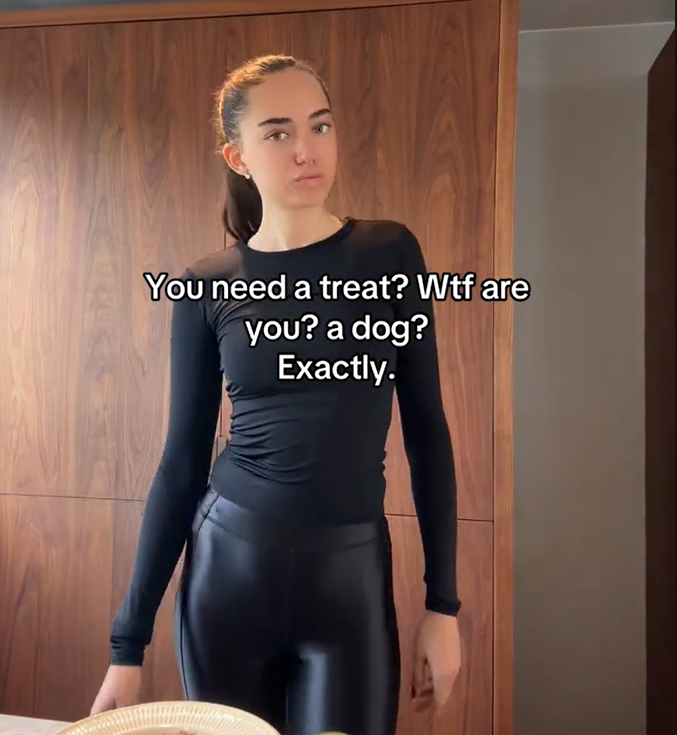 a screenshot from a tiktok video with text that reads 'you need a treat? wtf are you? a dog? exactly.'