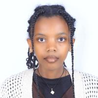 Profile picture of author Beamlak Alebel
