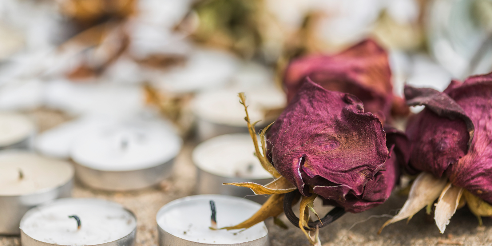 burnt candles and dead roses on the ground
