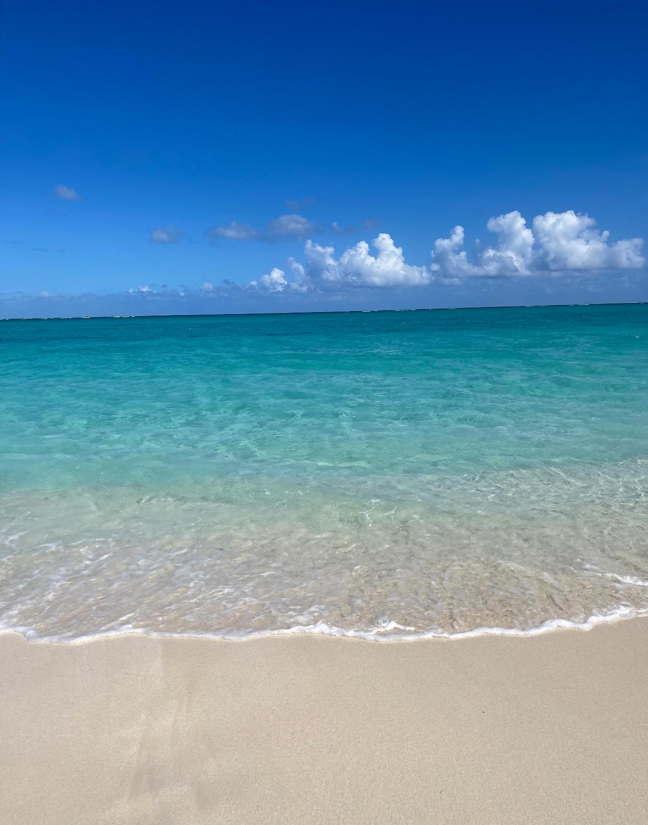 A picture of a beach.