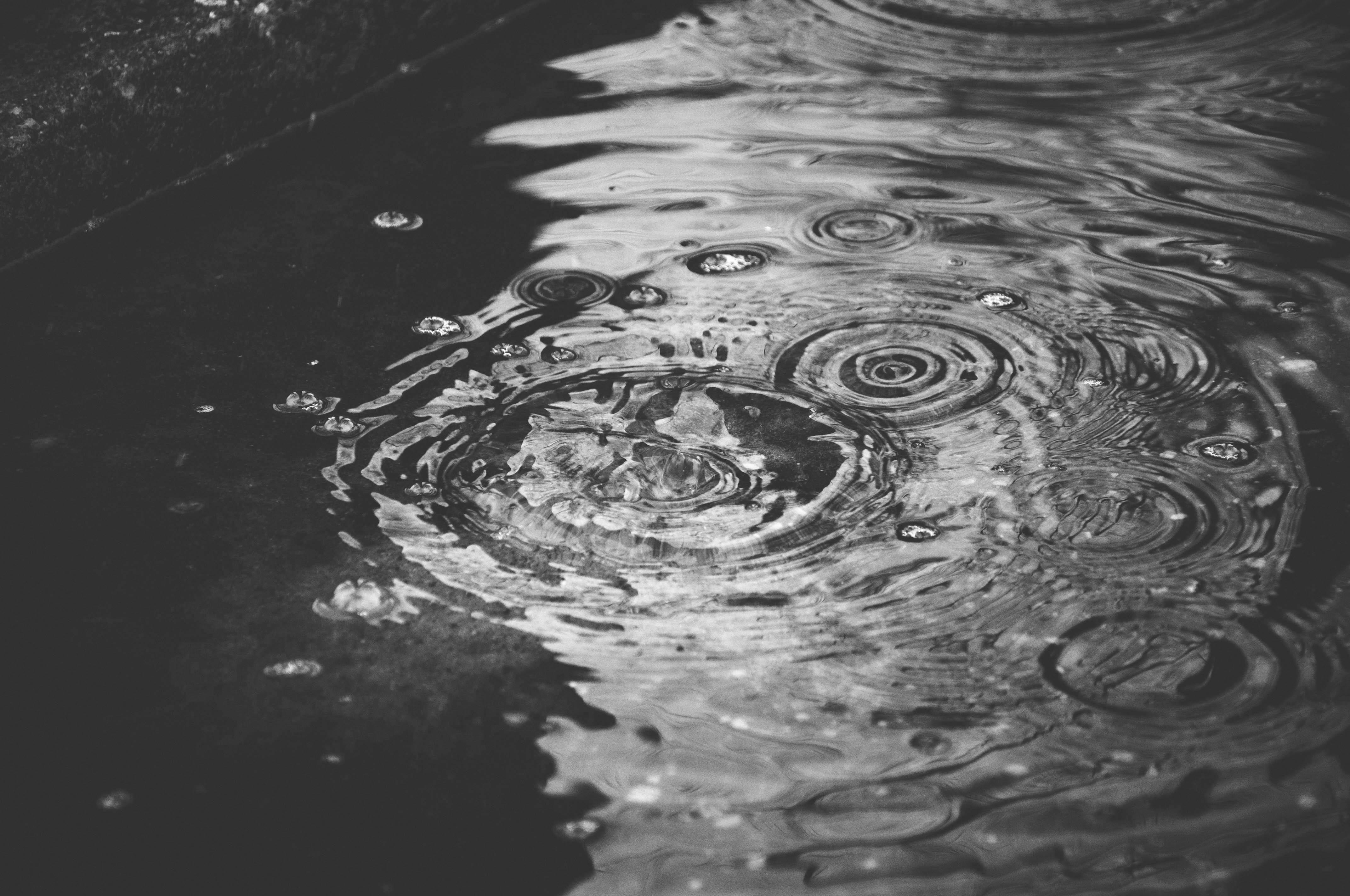 drops of rain on a puddle