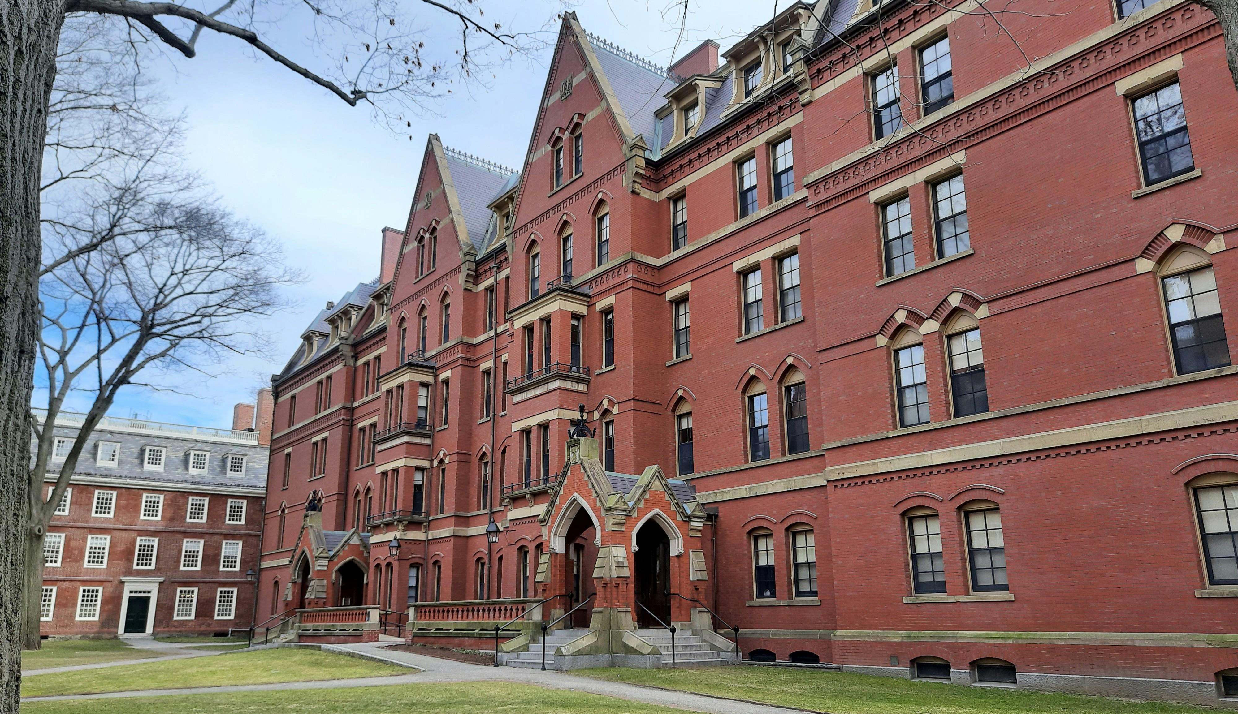 harvard university
