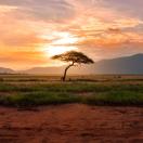landscape photo of Africa