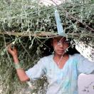 a girl carrying a bushel of branches on her head 