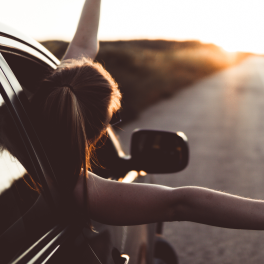 woman with her head and hands leaning out of a car window as it travels down the road