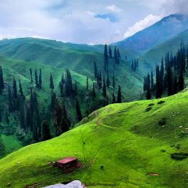 an aerial view of lush green hillsides in pakistan 