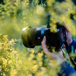 a person taking a picture of a plant with a camera