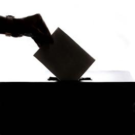 silhouette of a hand putting a ballot in a box