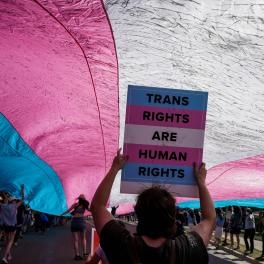 A trans flag held above someone holding a poster in support of trans people.