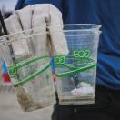 person holding plastic cups that were littered that have 'eco' written on them