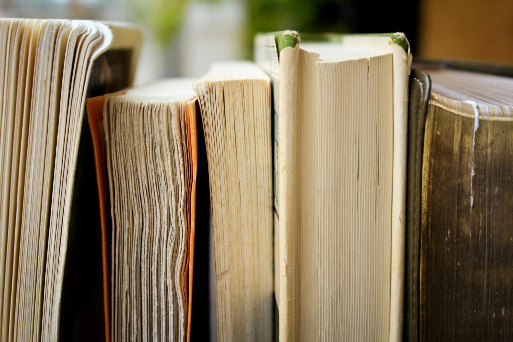 books lined up in a row