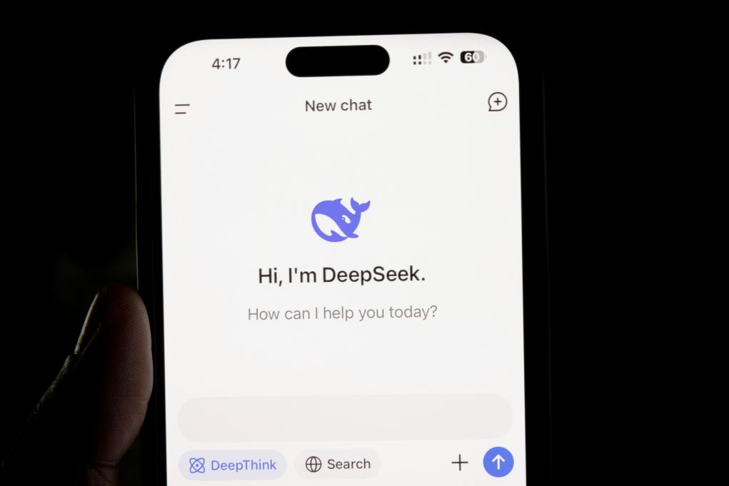 deepseek chat interface on a phone screen