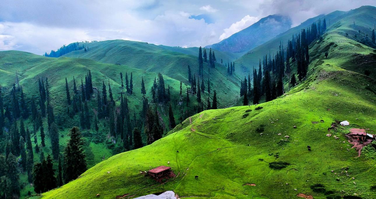 an aerial view of lush green hillsides in pakistan 