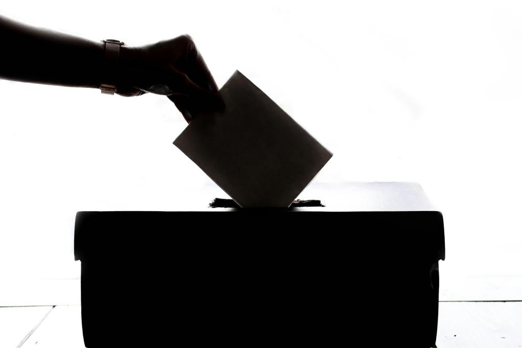 silhouette of a hand putting a ballot in a box