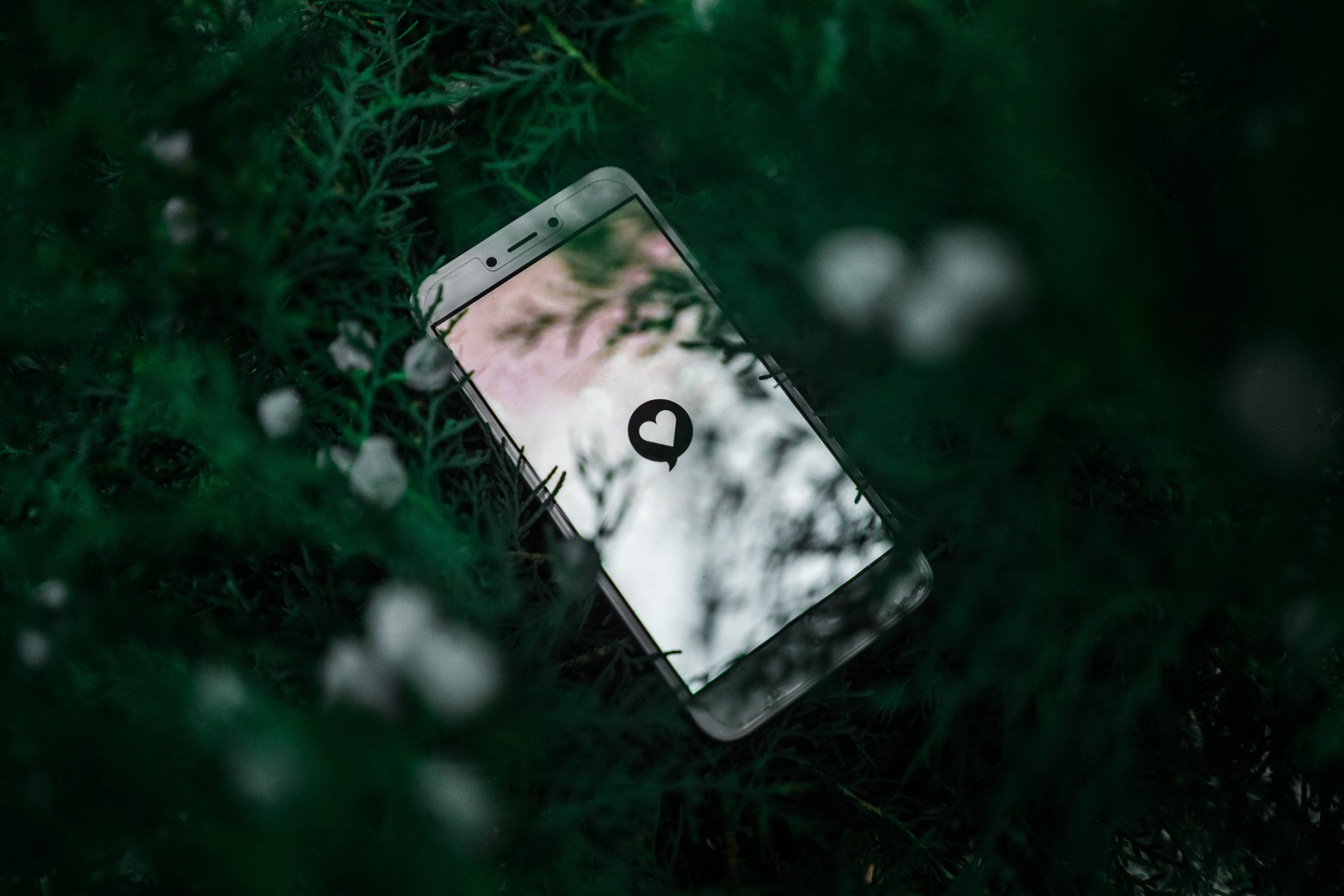 smartphone in plant - screen displays heart icon on white background