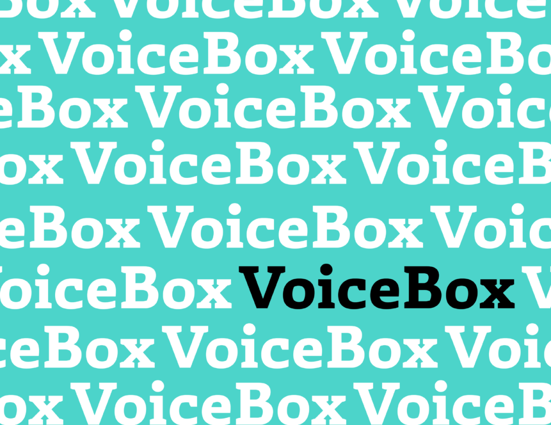 Welcome to VoiceBox